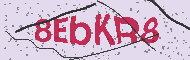 Güvenlik Kodu