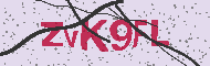 Güvenlik Kodu